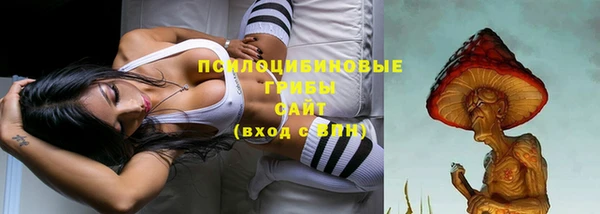 бутират Зеленодольск