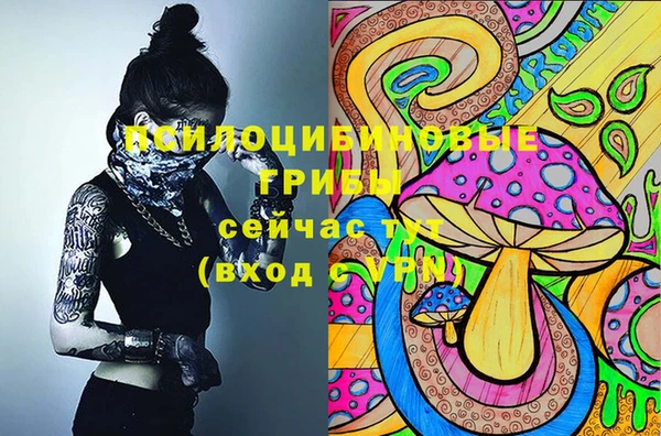бутират Зеленодольск
