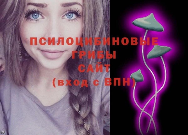 дурь Мегион