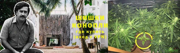 дурь Мегион