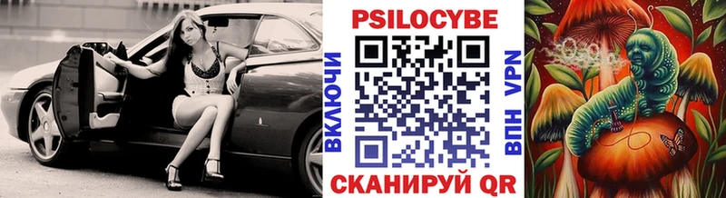 Галлюциногенные грибы Psilocybine cubensis  Купить где  Западная Двина 